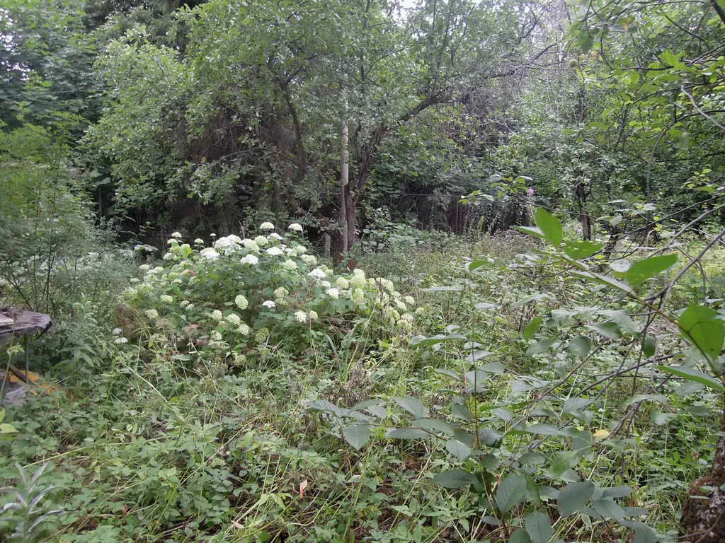 Дача с аркой-тоннелем, фото 6