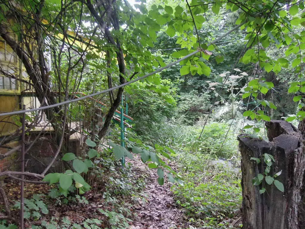 Дача с аркой-тоннелем, фото 7