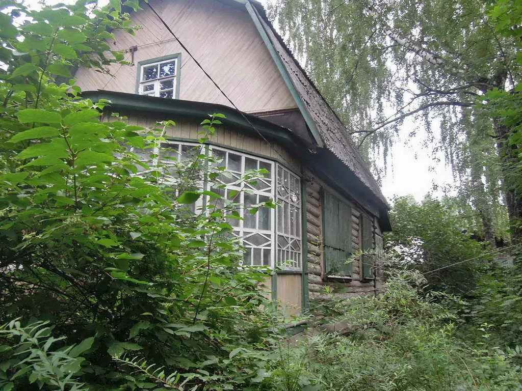 Дача с аркой-тоннелем, фото 10