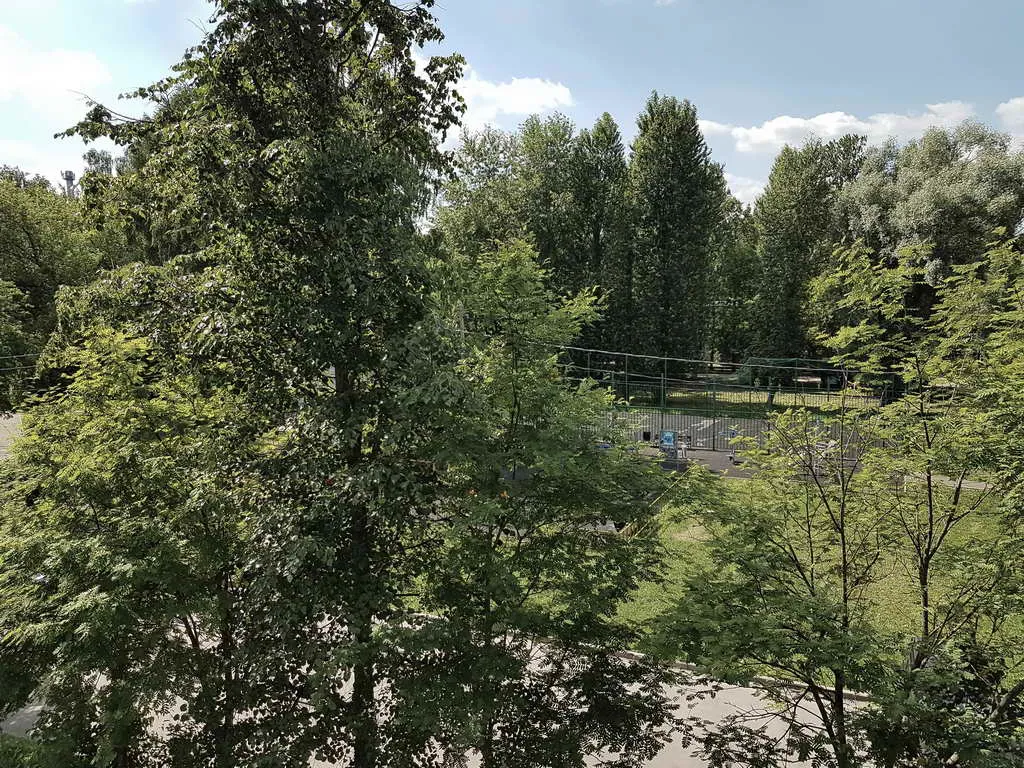 Квартира с видом на парк, фото 7