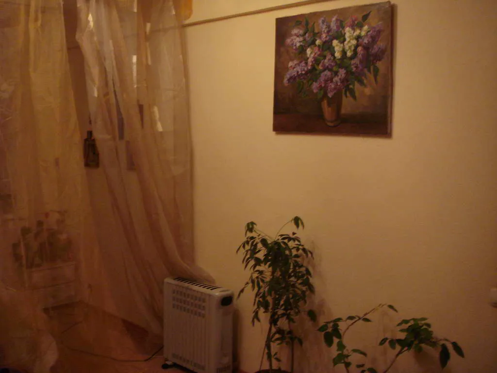 Сталинка с восточными дверями, фото 23