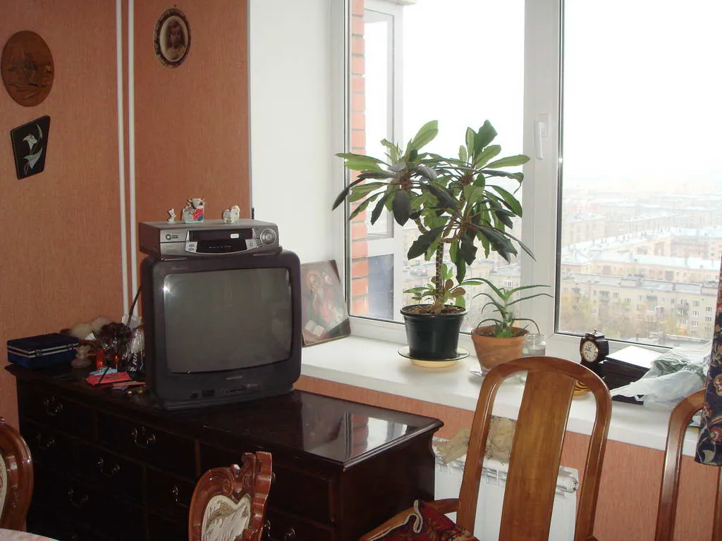 Квартира с розовыми стенами, фото 12