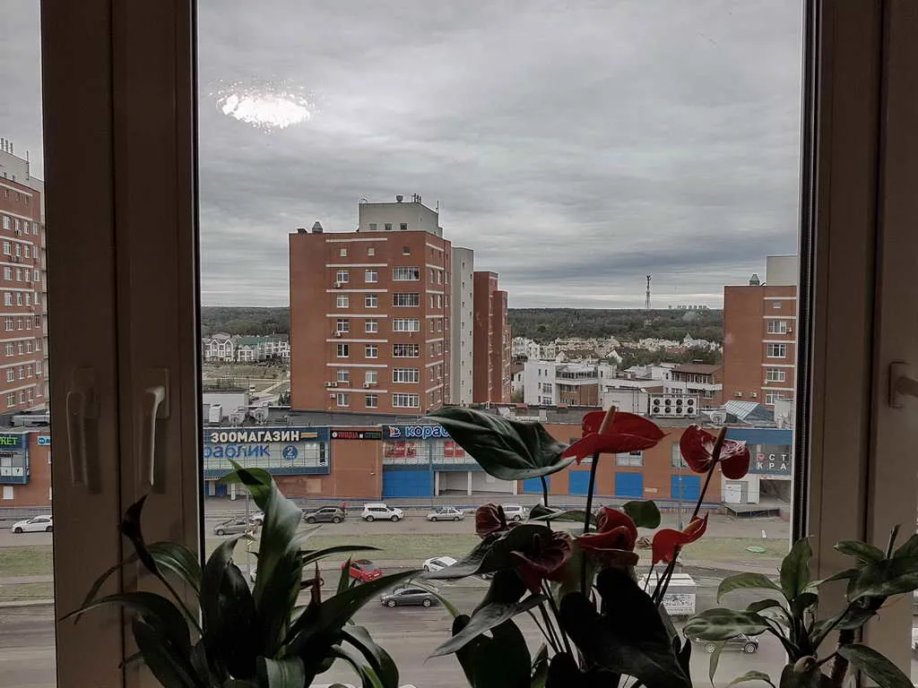Классическая квартира в дубе, фото 11