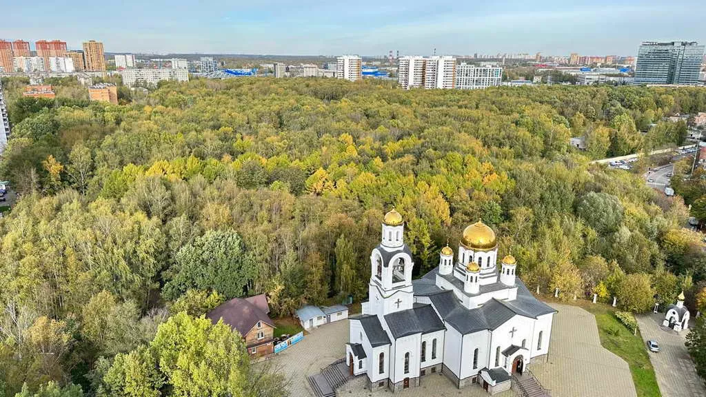 Белая сталинка с камином, фото 7