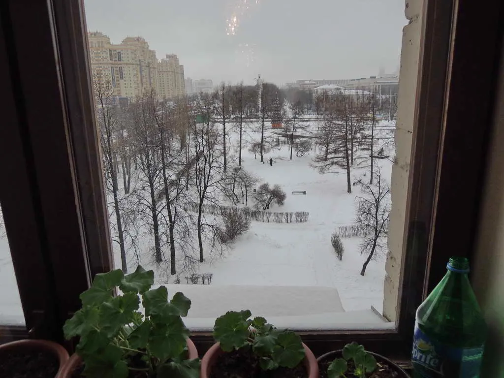 Кабинет с эркером, фото 15