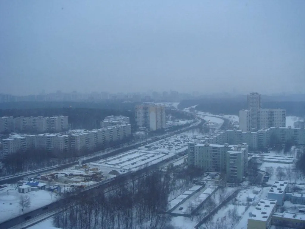 Классическая квартира в дереве, фото 15