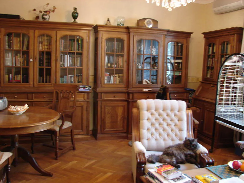 Квартира с птицей жако, фото 5
