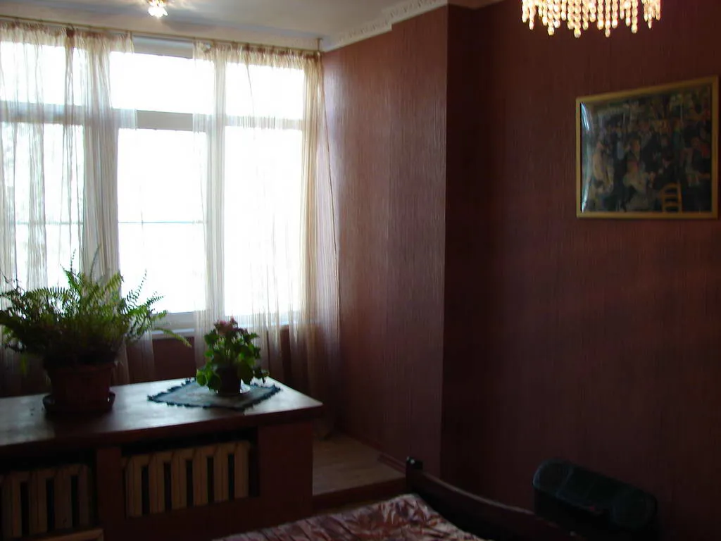Квартира с птицей жако, фото 21