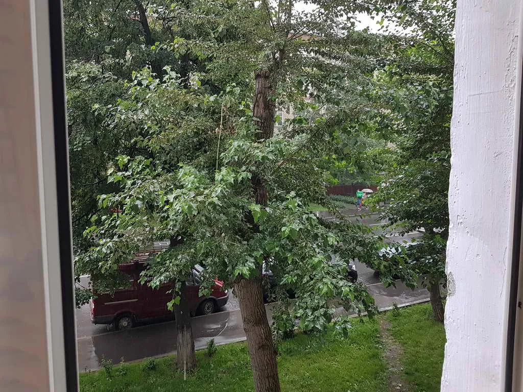 Квартира с живой зеленью, фото 10