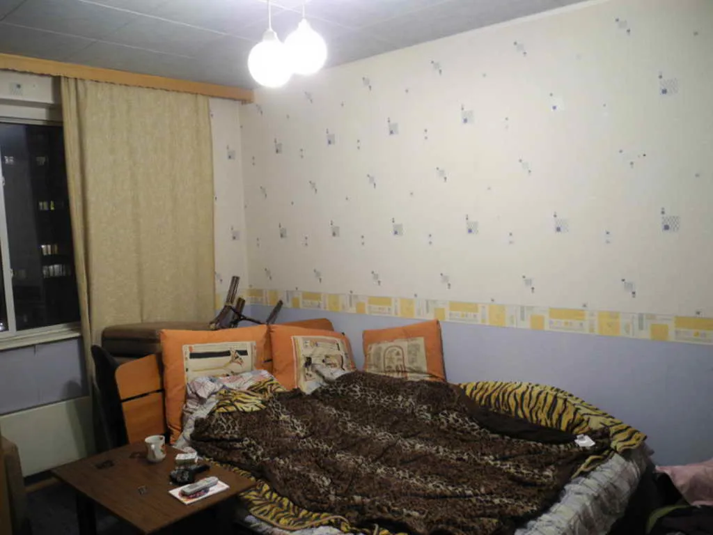 Парад арок брежневки, фото 7