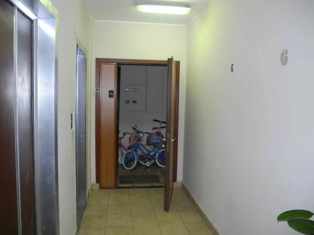 Парад арок брежневки, фото 1