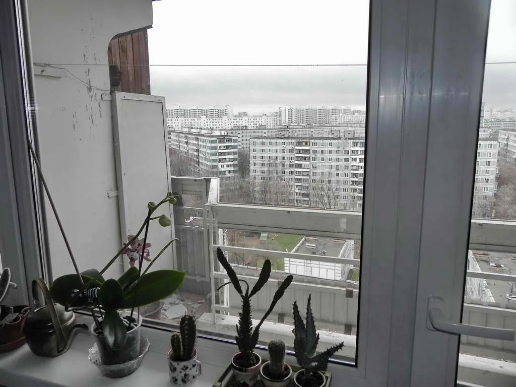 Полукруглое окно Сталинки, фото 19