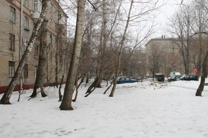 Сталинка с красными стенами, фото 20