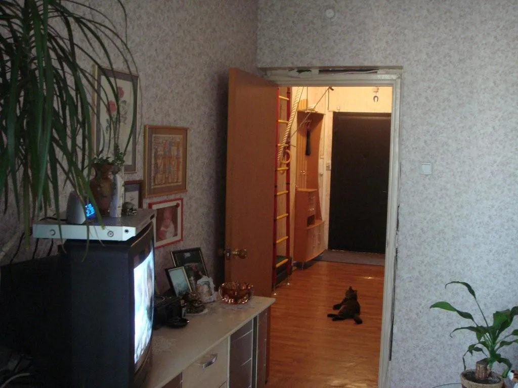 Квартира с турником, фото 7