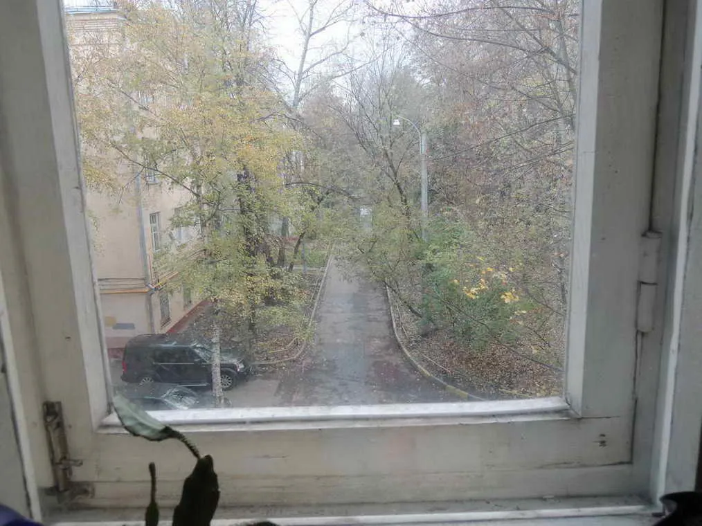 Ретро-квартира с обоями в цветочек, фото 16