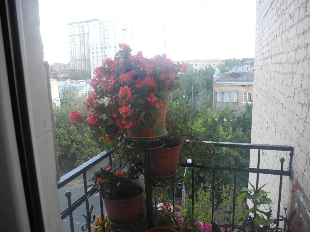 Квартира с фонарными столбами, фото 9