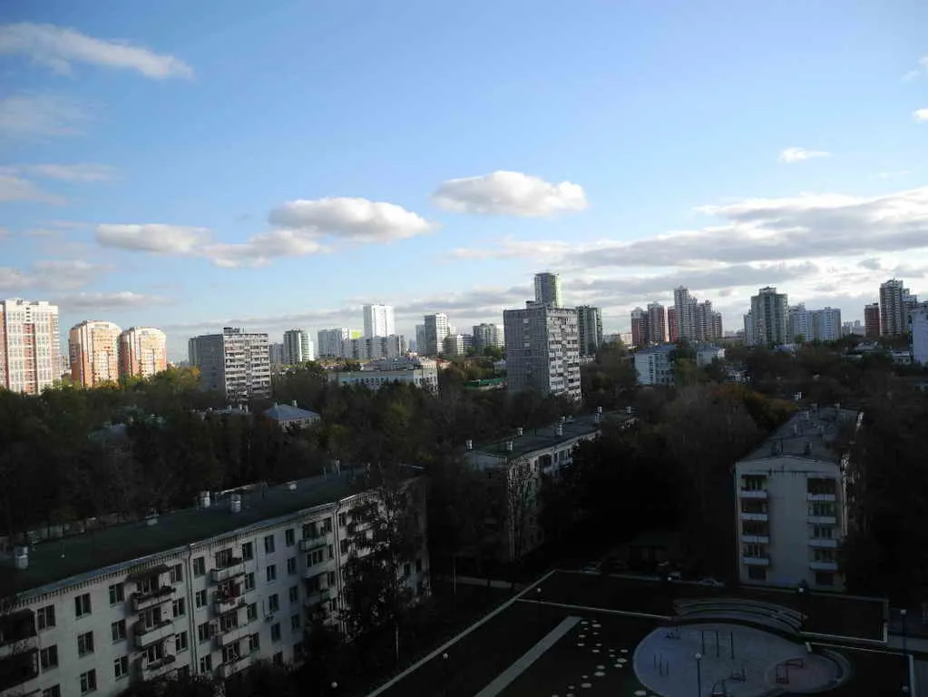 Квартира с одуванчиками, фото 14