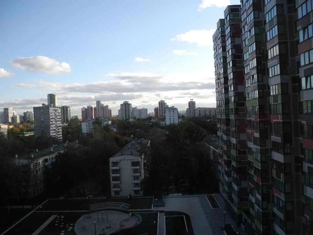 Квартира с одуванчиками, фото 13