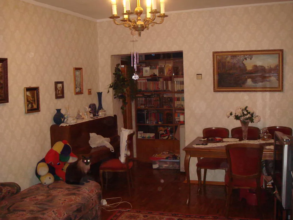 Ретро квартира с уютом, фото 9