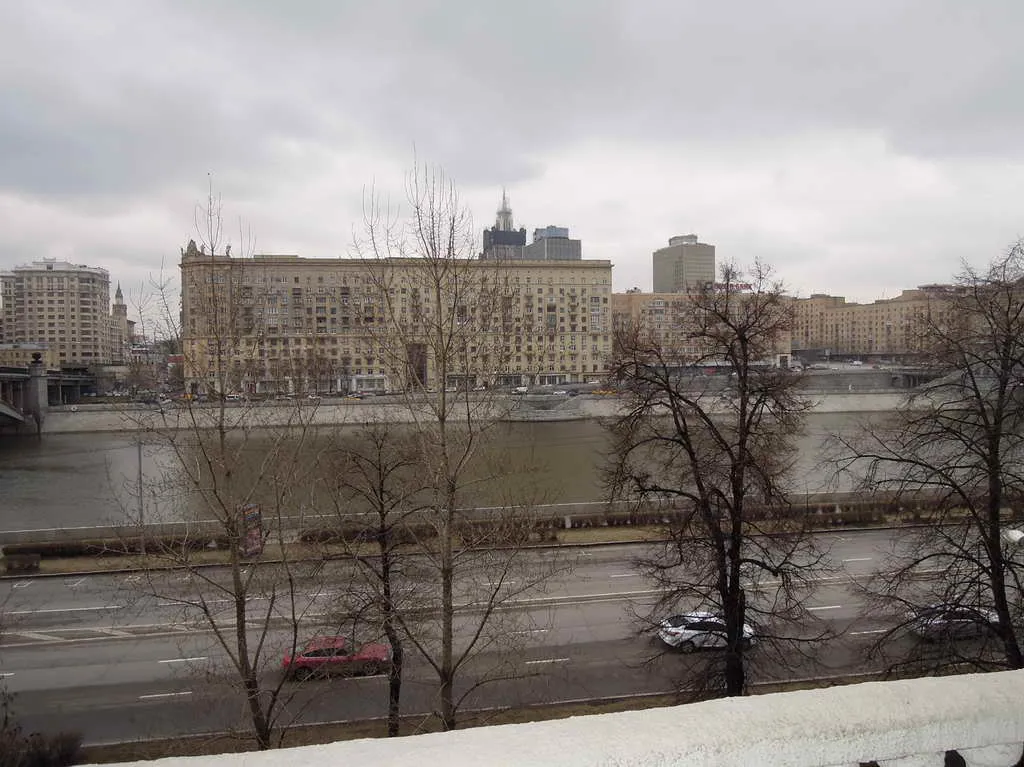 Парадная квартира с резными дверьми, фото 11