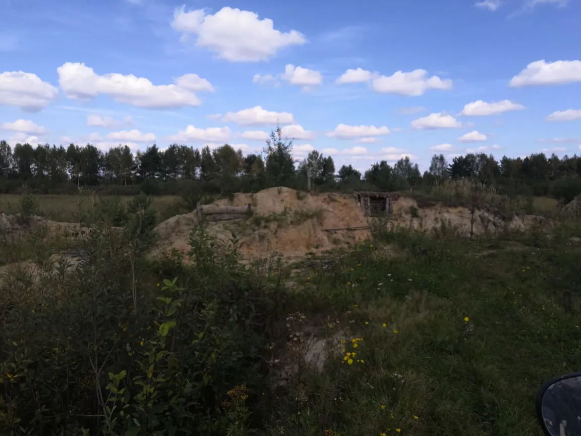 Полевая дорога с лесом, фото 8