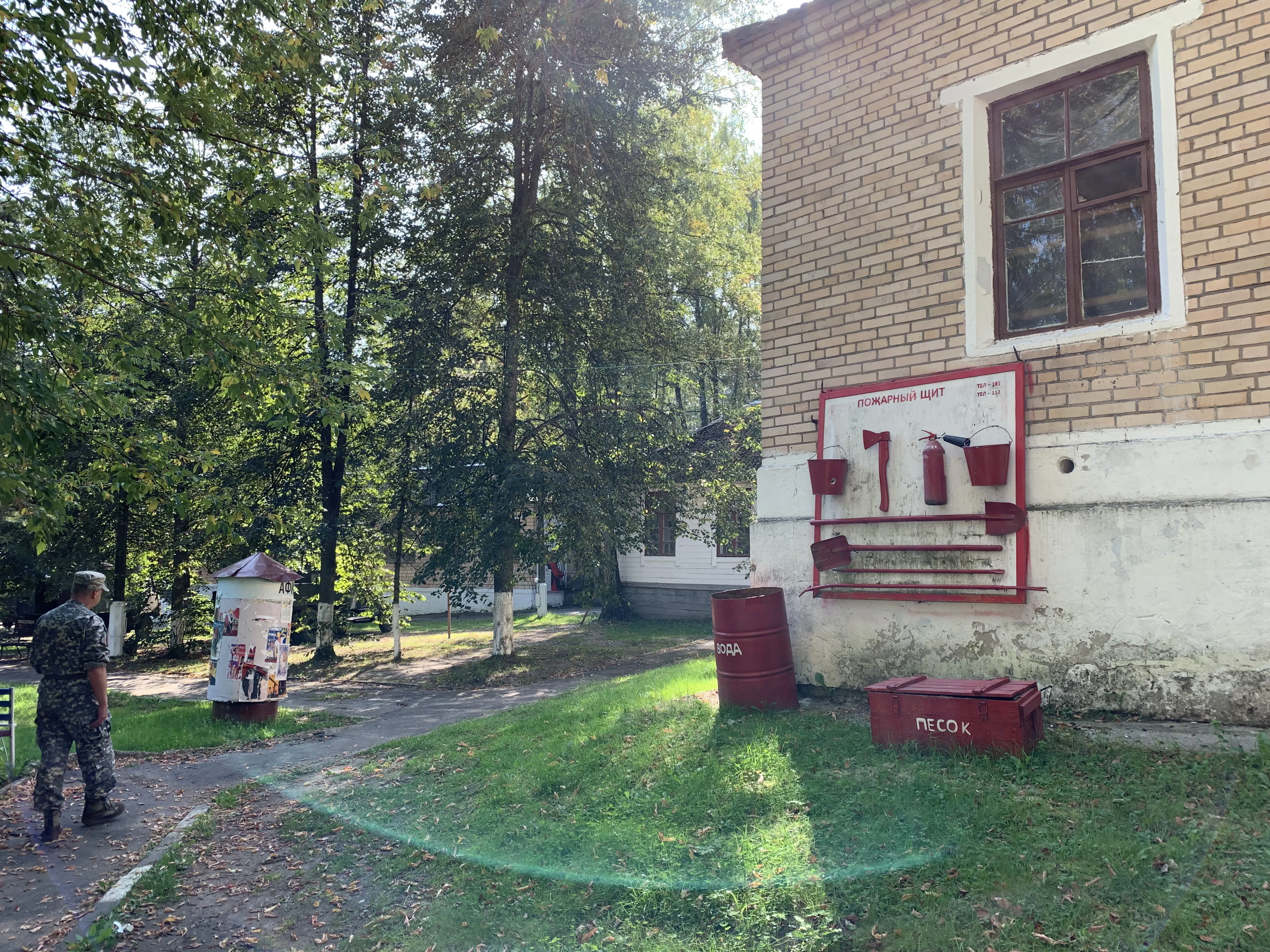 Полевая дорога с лесом, фото 24