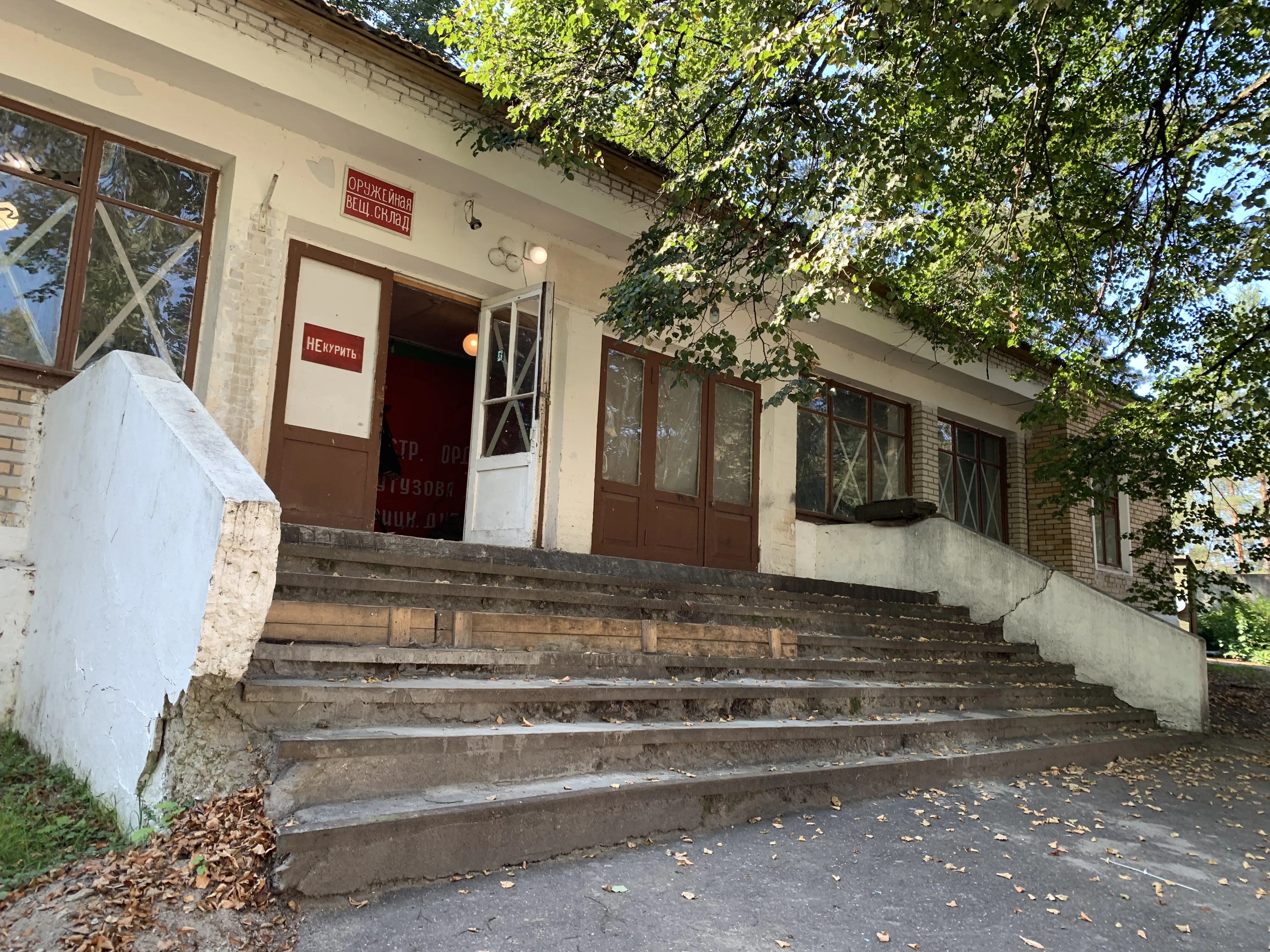 Полевая дорога с лесом, фото 23