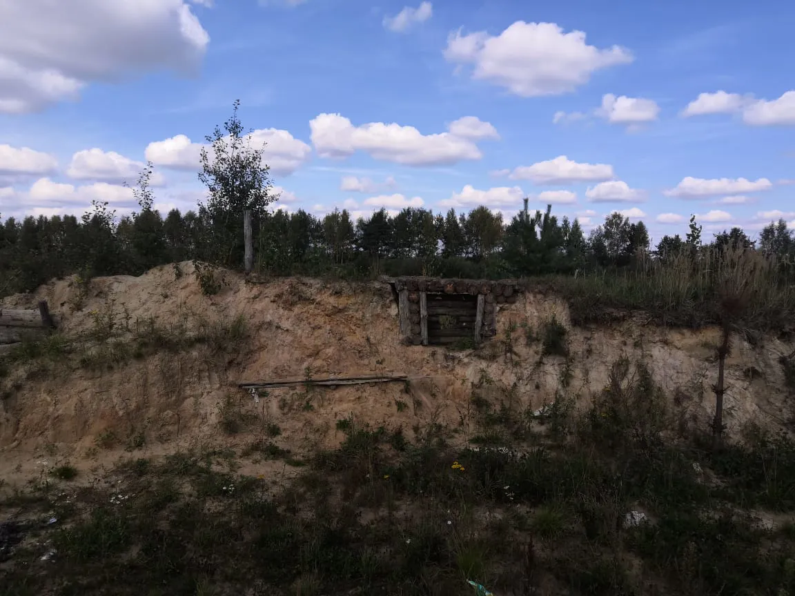 Полевая дорога с лесом, фото 2