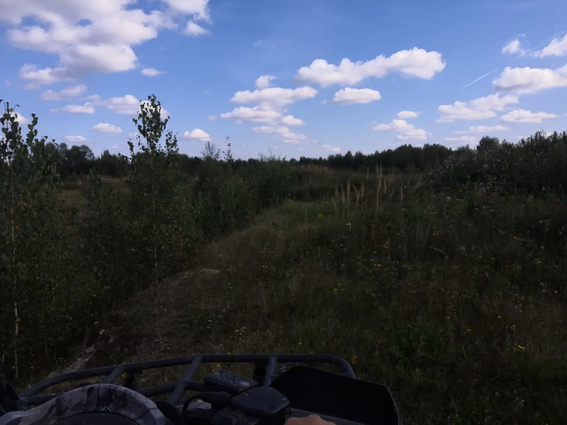 Полевая дорога с лесом, фото 11