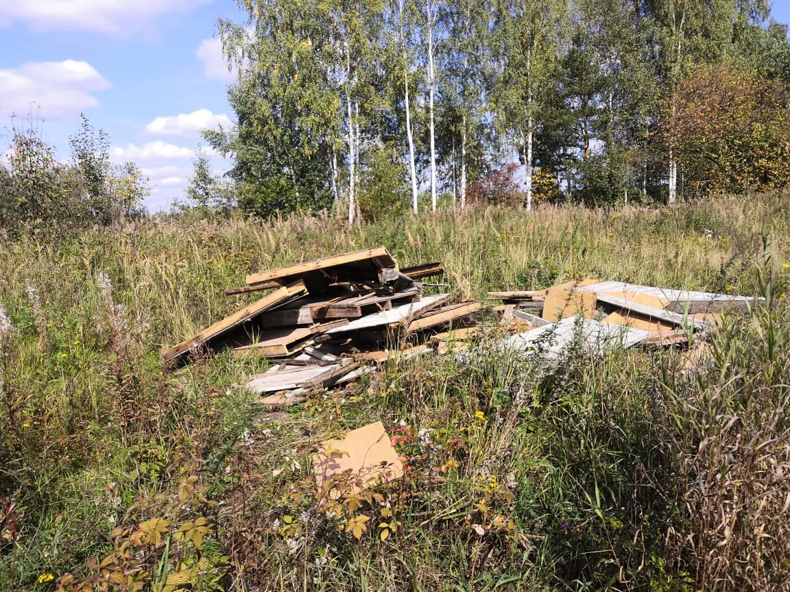 Полевая дорога с лесом, фото 5