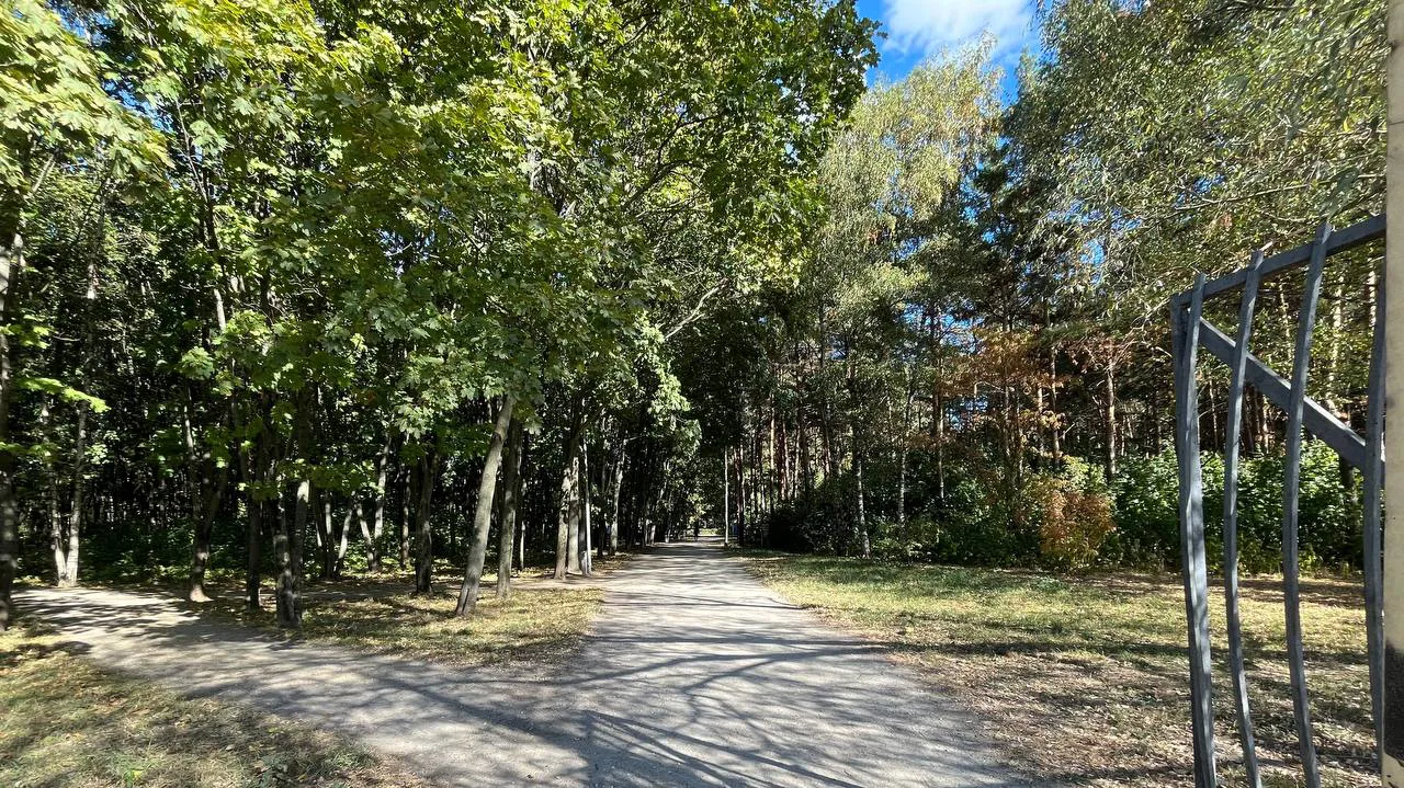 Парковка в зелени, фото 14