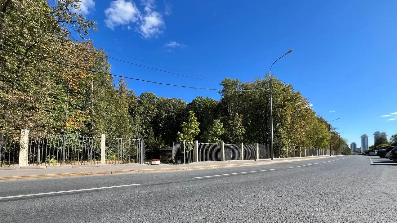 Парковка в зелени, фото 19