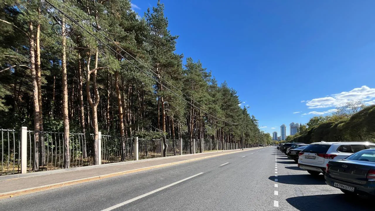Парковка в зелени, фото 23