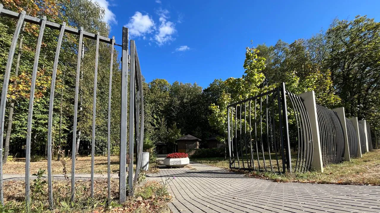 Парковка в зелени, фото 17