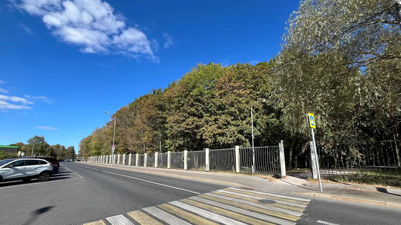 Парковка в зелени, фото 11
