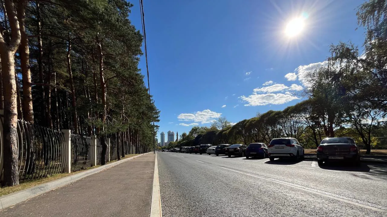 Парковка в зелени, фото 20