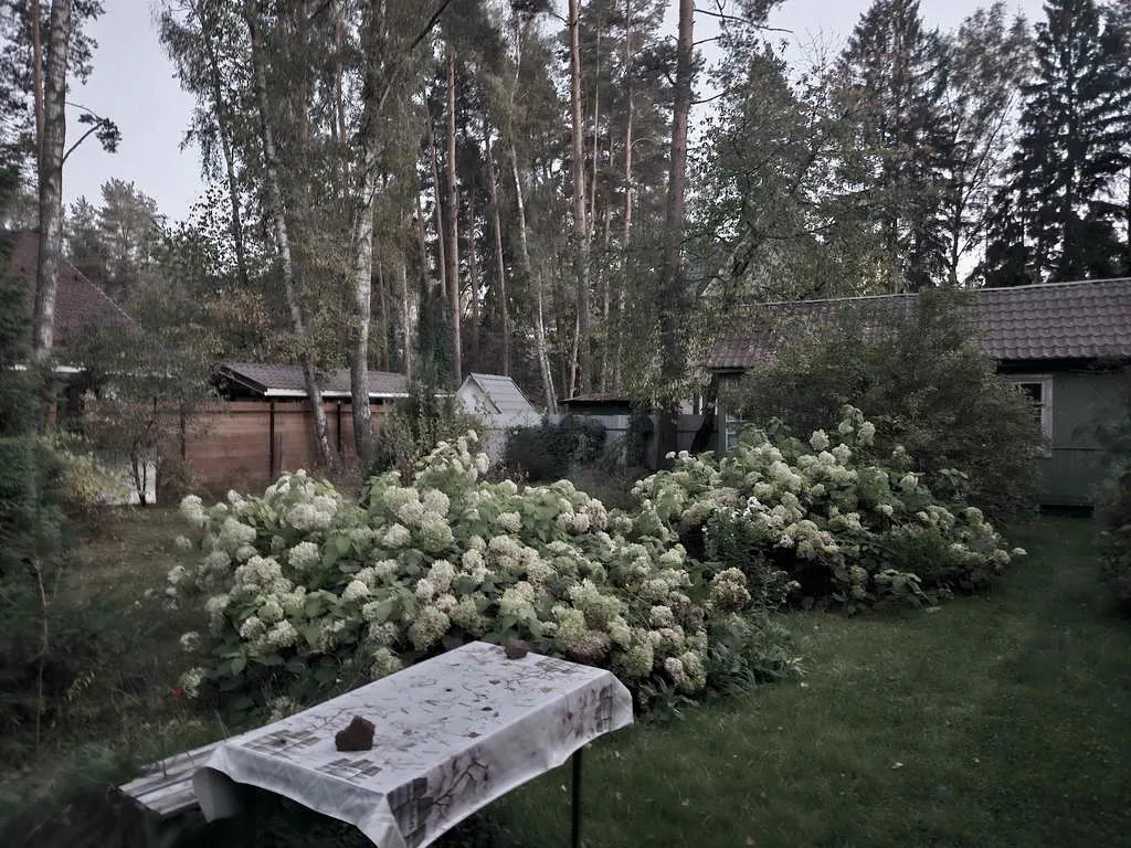 Дом с участком, фото 13
