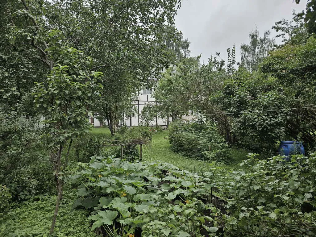 Дача в зарослях, фото 8