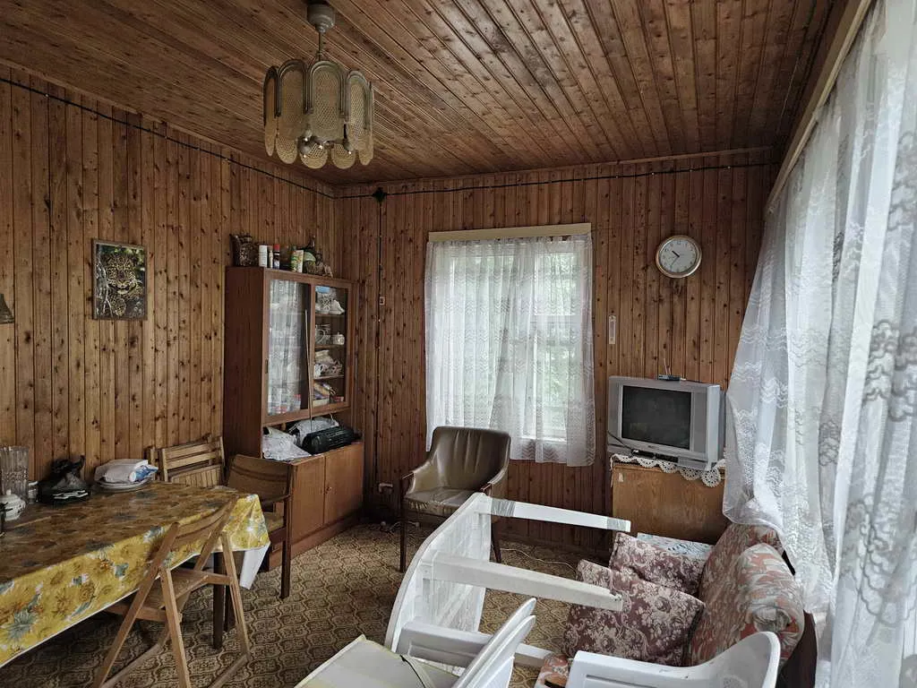 Дача в зарослях, фото 14