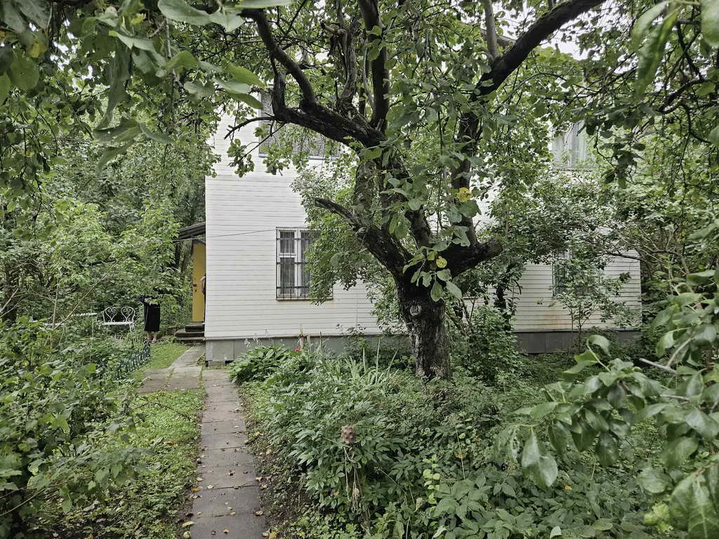 Дача в зарослях, фото 9
