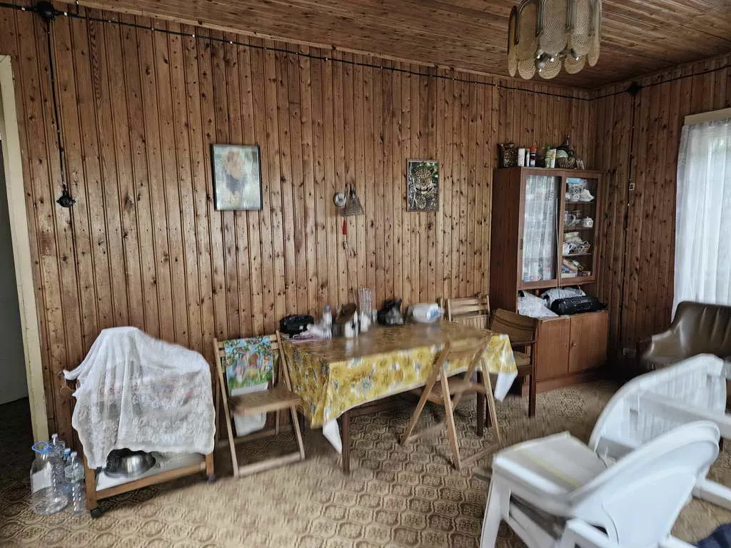 Дача в зарослях, фото 13