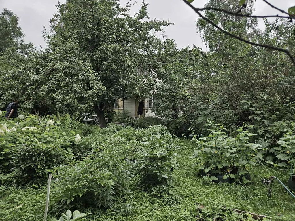 Дача в зарослях, фото 2