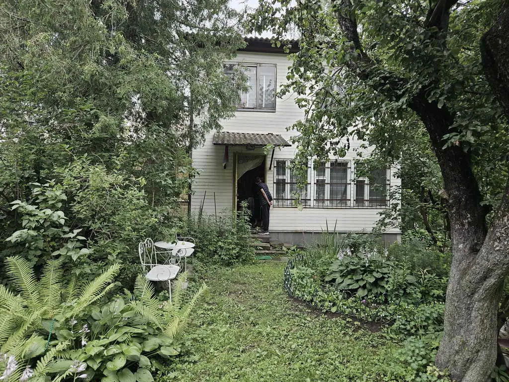 Дача в зарослях, фото 4