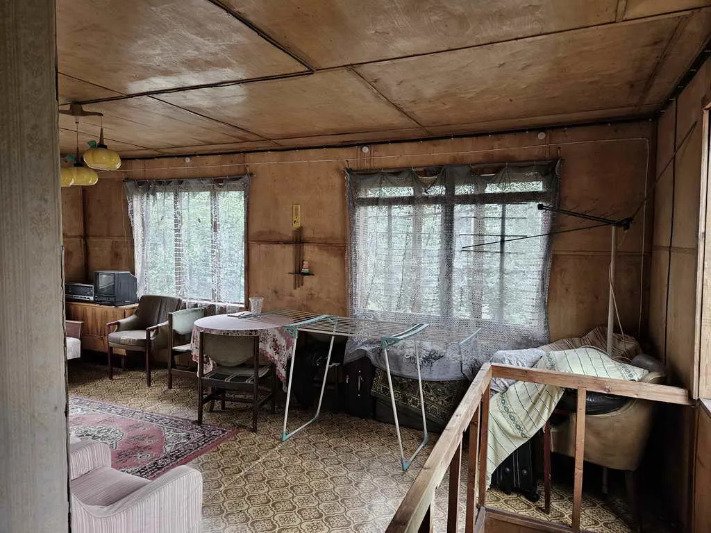 Дача в зарослях, фото 22