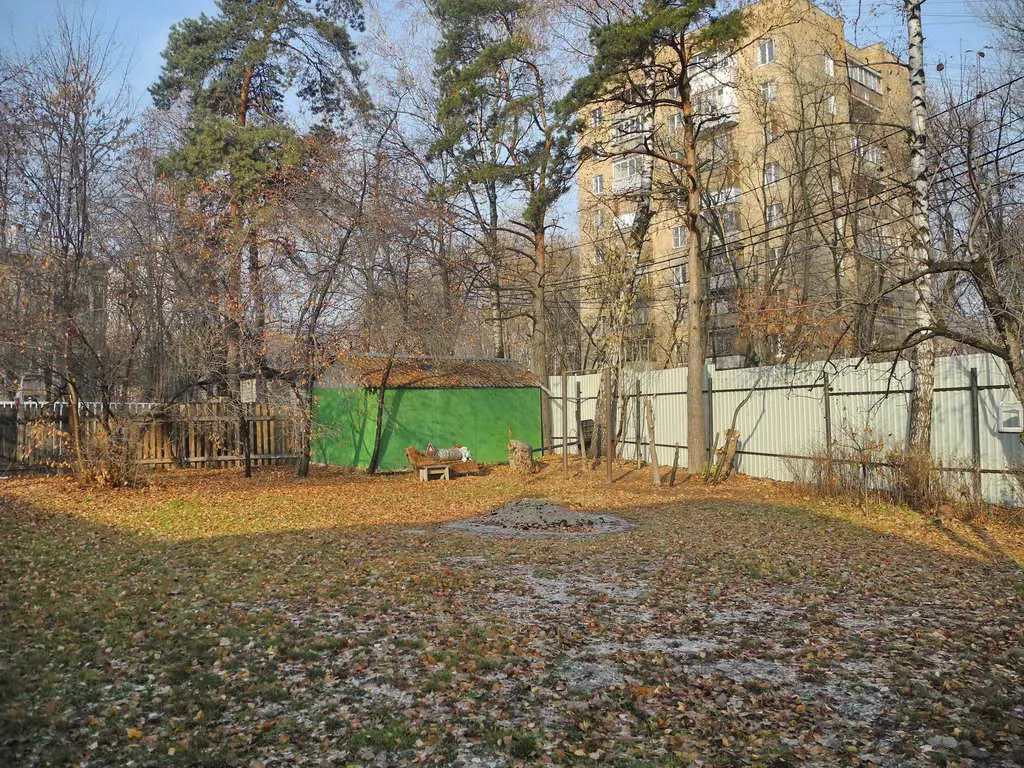 Дача с крыльцом, фото 6