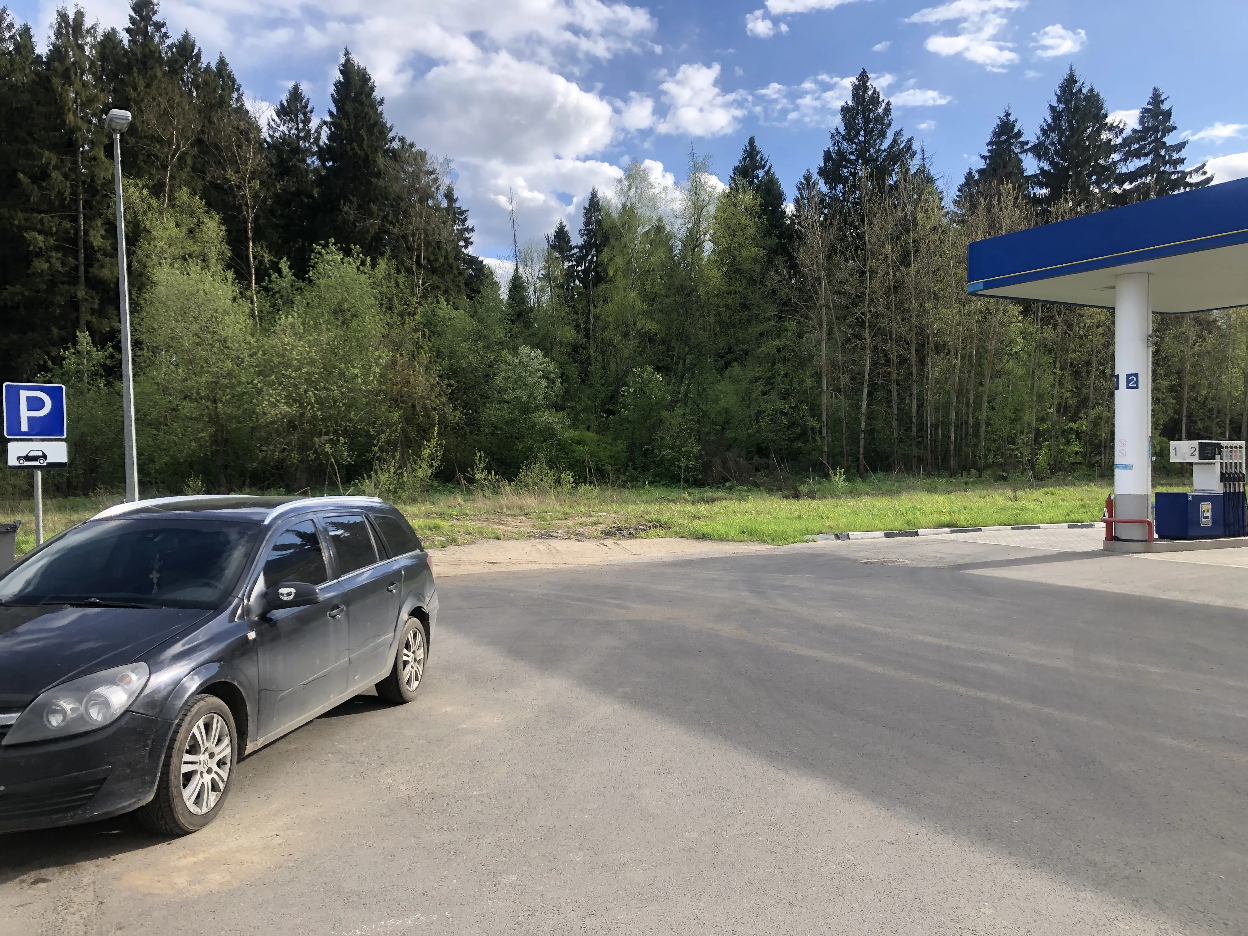 Придорожная АЗС у леса, фото 6