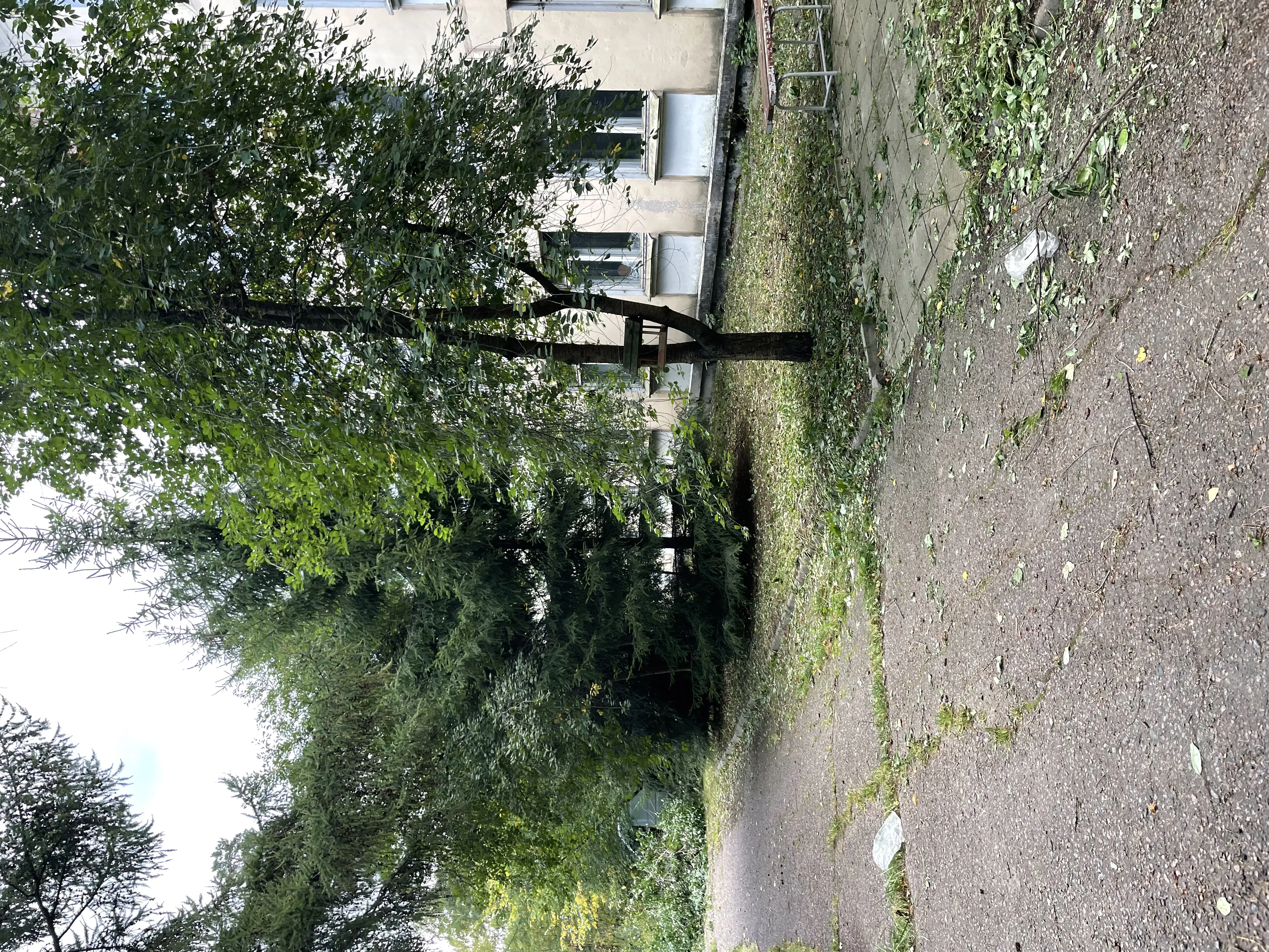 Больница советской эпохи, фото 2