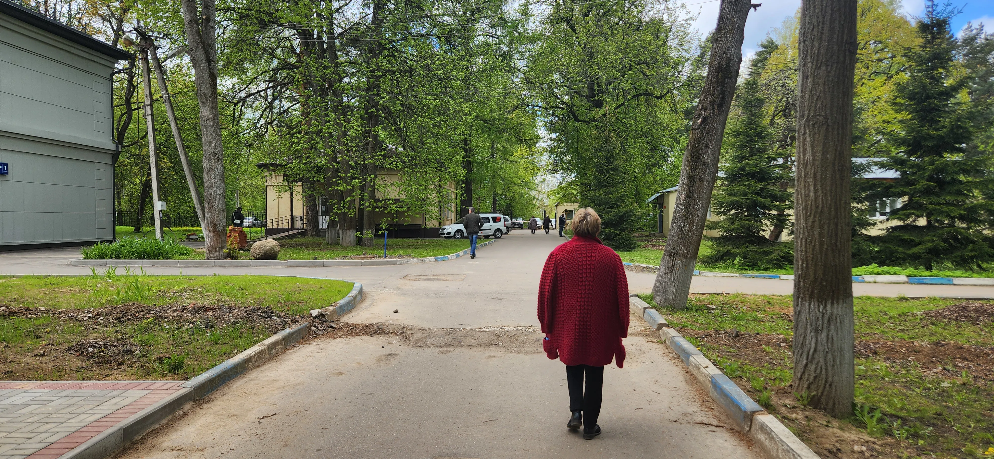 Больница в лесной гуще, фото 7