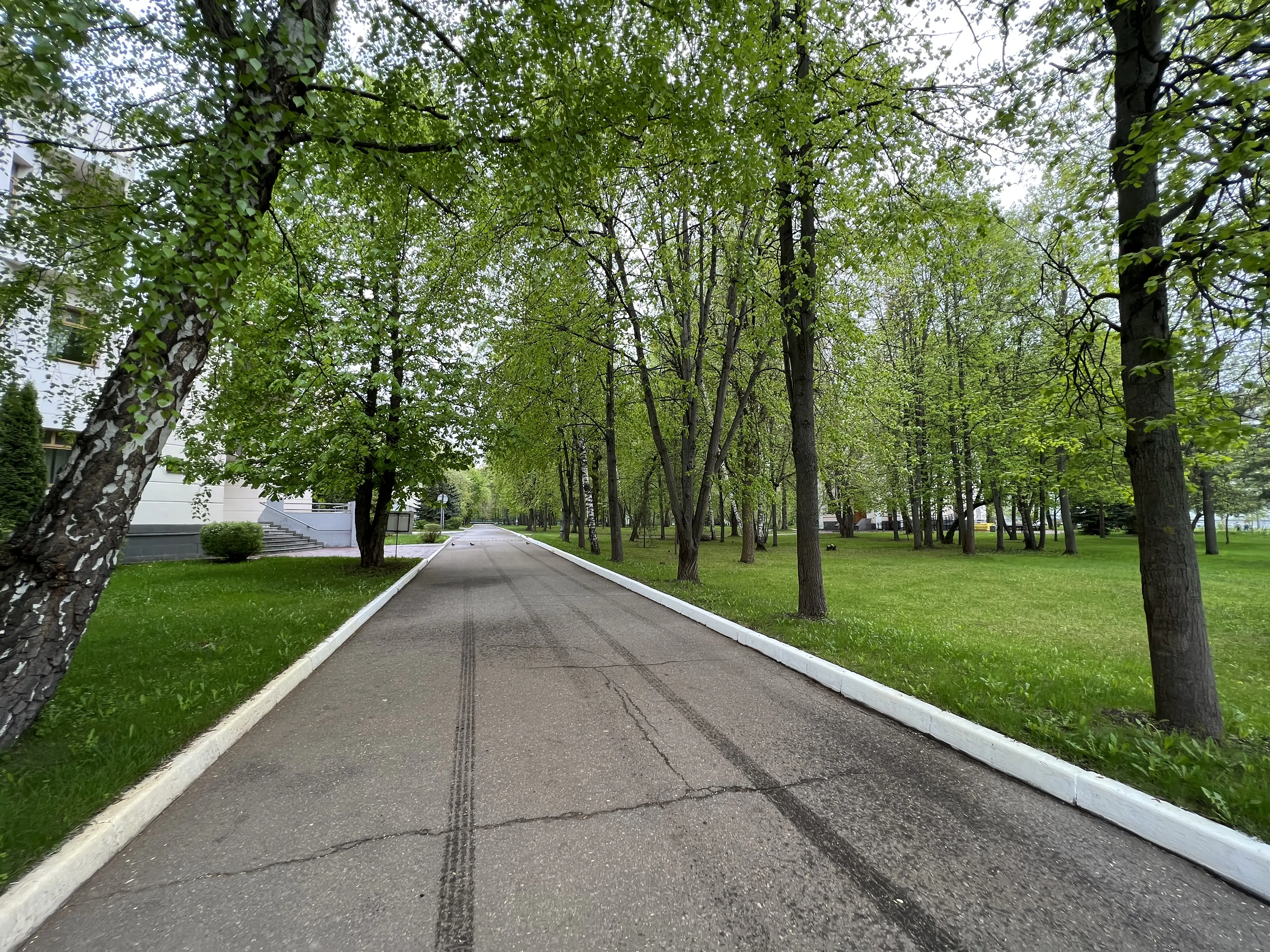 Больница в корпусах, фото 19