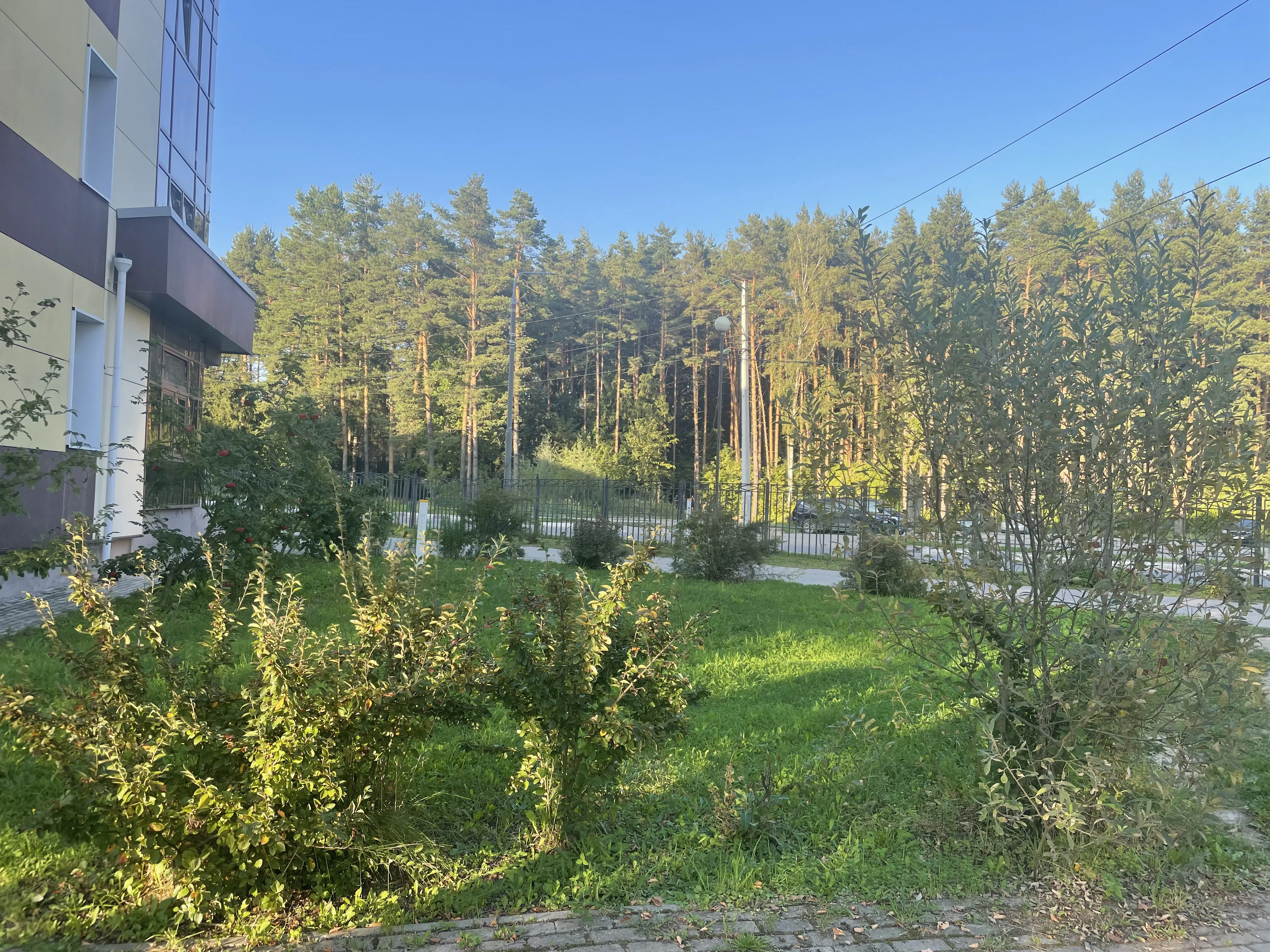 Фабричные корпуса, фото 5